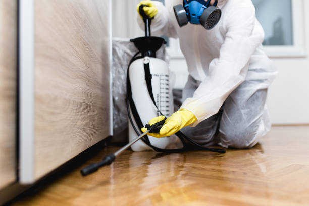 Best Pest Removal Services  in Penn Valley, CA