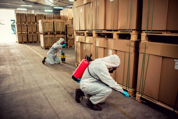 Best Residential Pest Control  in Penn Valley, CA