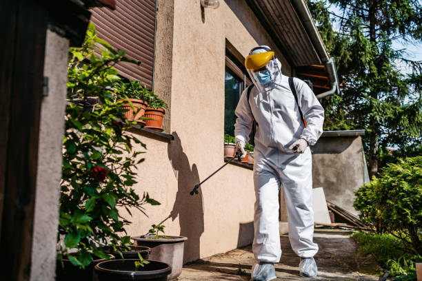 Flea Control Services in Penn Valley, CA
