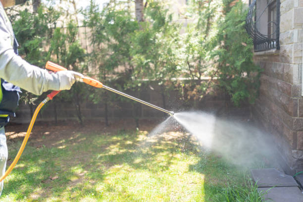 Best Termite Control Services  in Penn Valley, CA