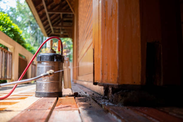 Best Exterminator Services  in Penn Valley, CA