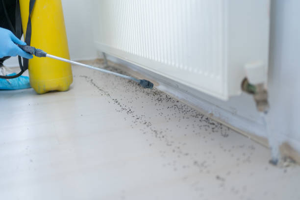 Penn Valley, CA Pest Control Company
