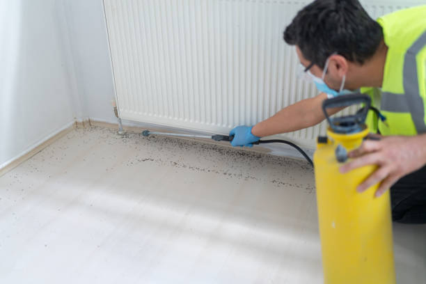 Best Cockroach Control Services  in Penn Valley, CA